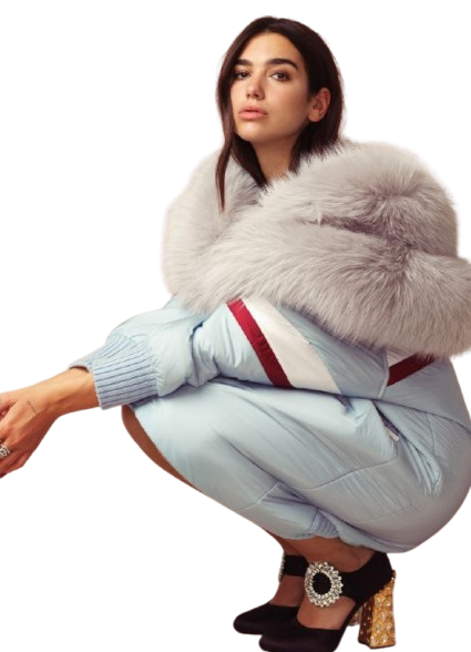 fur dress